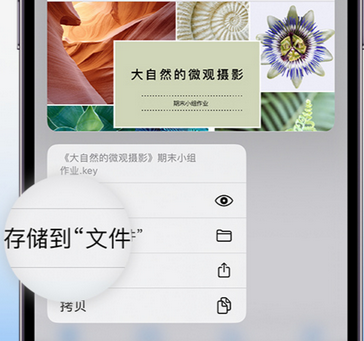 黔东南apple维修中心分享iPhone文件应用中存储和找到下载文件