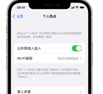 黔东南apple服务站点分享iPhone上个人热点丢失了怎么办 