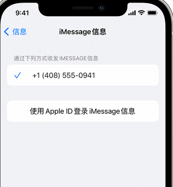 黔东南apple维修iPhone上无法正常发送iMessage信息 