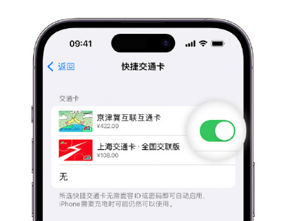 黔东南apple维修点分享iPhone上更换Apple Pay快捷交通卡手绘卡面 