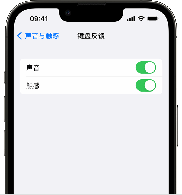 黔东南苹果14维修店分享如何在 iPhone 14 机型中使用触感键盘 