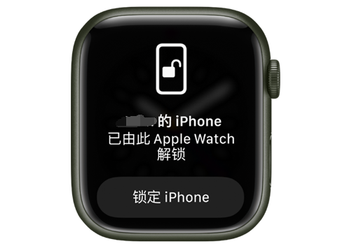 黔东南苹果手机维修分享用 AppleWatch 解锁配备面容 ID 的 iPhone方法 