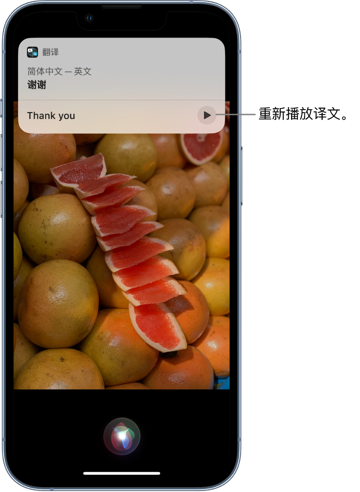 黔东南苹果14维修分享 iPhone 14 机型中使用 Siri：了解 Siri 能帮你做什么 