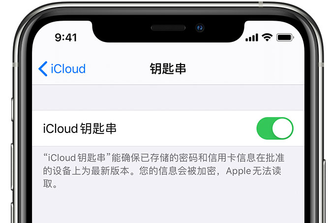 黔东南苹果手机维修分享在 iPhone 上开启 iCloud 钥匙串之后会储存哪些信息 