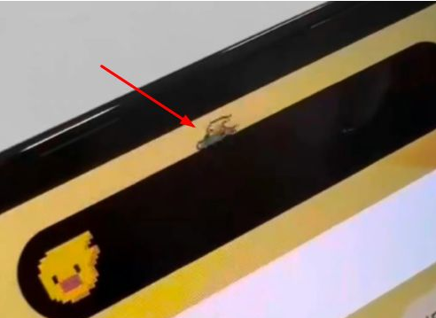 黔东南苹果14维修分享iPhone 14 Pro Max灵动岛怎么养宠物 