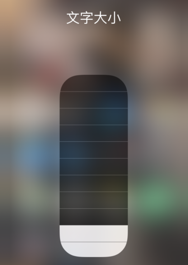 黔东南苹果手机维修分享小技巧：在 iPhone 控制中心快速调节字体大小 