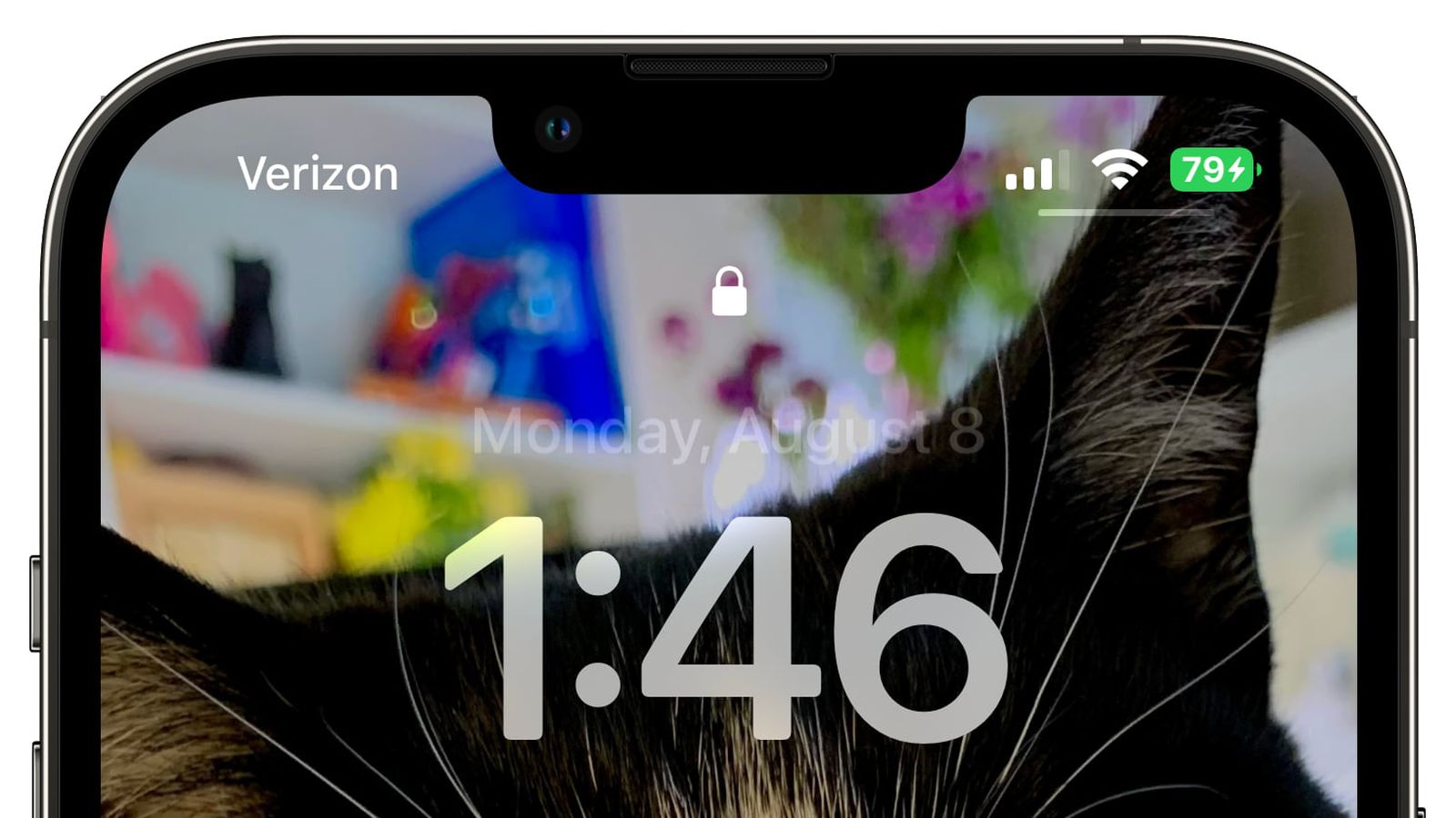 黔东南苹果手机维修分享iOS 16 beta 5 支持状态栏显示电池百分比，如何开启？支持哪些机型 