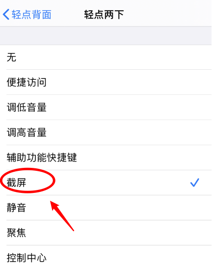 黔东南苹果手机维修分享iPhone12如何启用双击截屏 