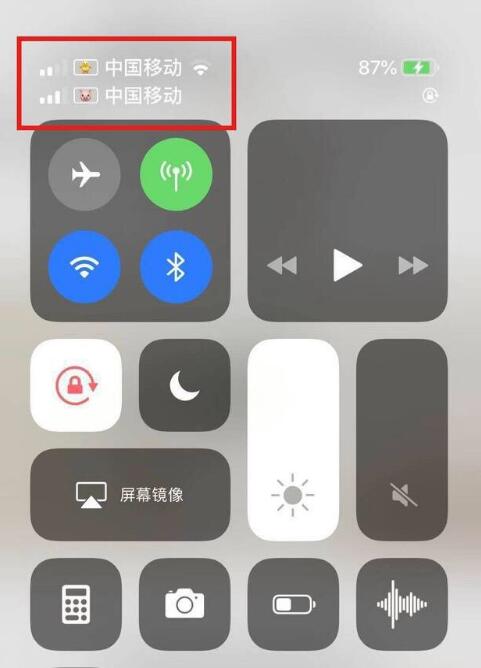黔东南苹果手机维修分享为 iPhone 12 双卡设置标签 
